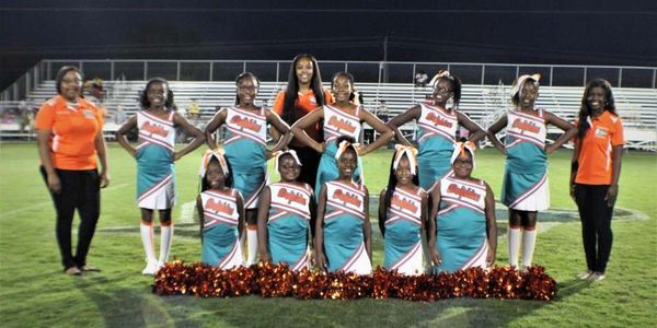 Montgomery Dolphins Youth Football And Cheer Youth